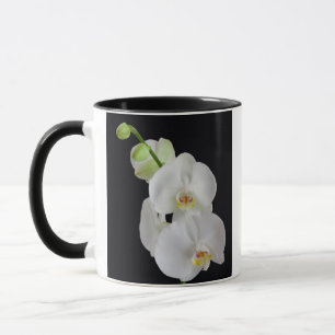 USA, Georgien, Savannah, Orchideencluster Tasse