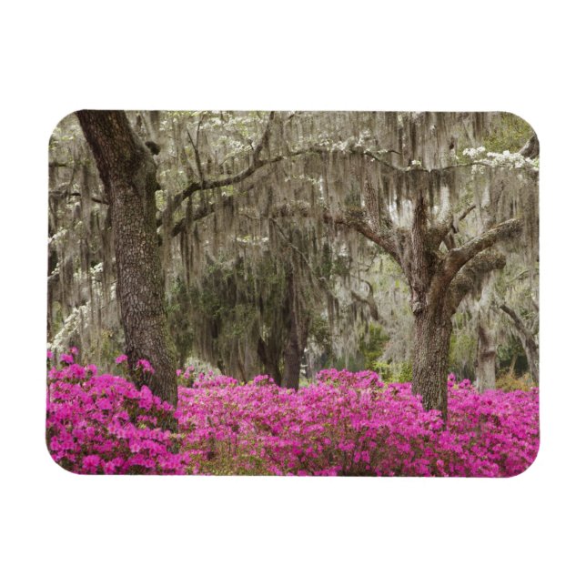 USA, Georgien, Savannah, Spring at Historic Magnet (Horizontal)