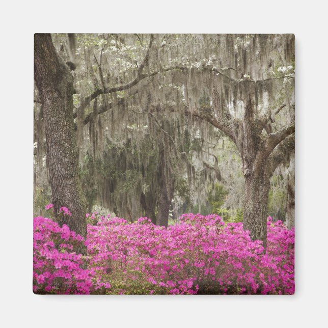 USA, Georgien, Savannah, Spring at Historic Magnet (Vorne)