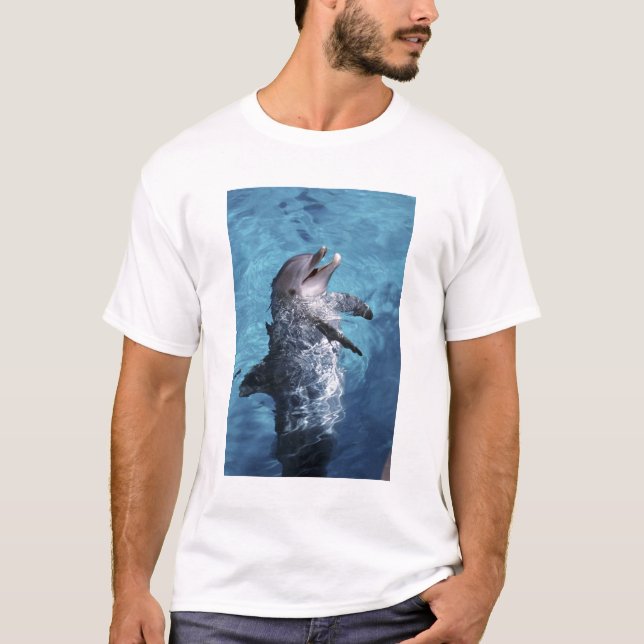 USA, Hawaii. Delfin T-Shirt (Vorderseite)