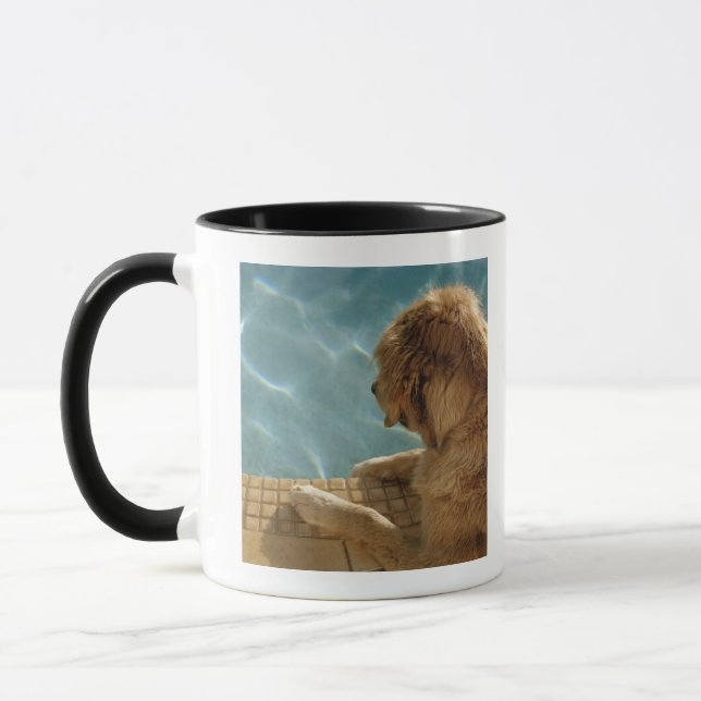 USA, Hawaii, Honolulu Tasse (Links)