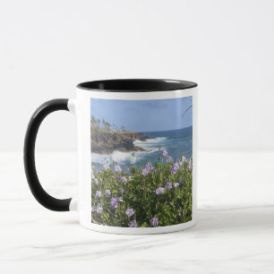 USA, Hawaii, Kauai, bei Kapaa, Nordwest Tasse