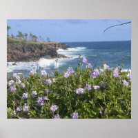 USA, Hawaii, Kauai, bei Kapaa, Nordwesten
