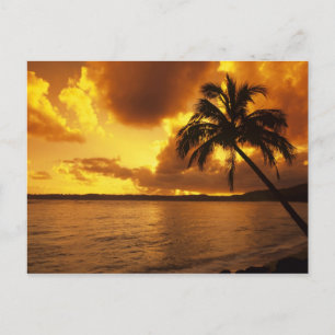 USA, Hawaii, Kauai, farbenfroher Sonnenaufgang in  Postkarte