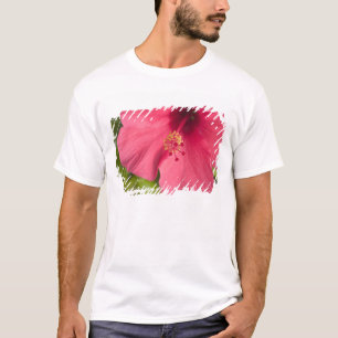 USA, Hawaii, Kauai, Hibiskus T-Shirt