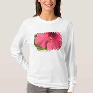 USA, Hawaii, Kauai, Hibiskus T-Shirt