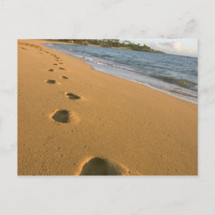 USA, Hawaii, Kauai, Kapa'a, Strand. Postkarte