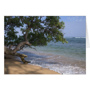 USA, Hawaii, Kauai, Strand Szene. RF)