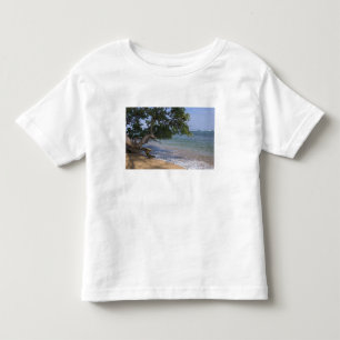 USA, Hawaii, Kauai, Strand Szene. RF) Kleinkind T-shirt