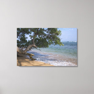 USA, Hawaii, Kauai, Strand Szene. RF) Leinwanddruck