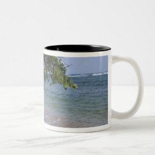 USA, Hawaii, Kauai, Strand Szene. RF) Zweifarbige Tasse