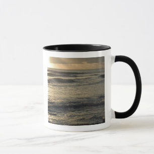 USA, Hawaii, Kauai, Südwestküste, in der Nähe von Tasse