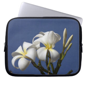 USA, Hawaii, Kauai, weiße Plumerie. Laptopschutzhülle