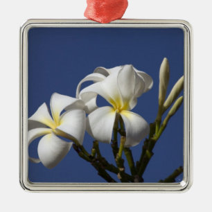 USA, Hawaii, Kauai, weiße Plumerie. Ornament Aus Metall