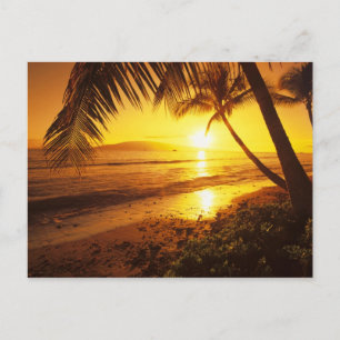 USA, Hawaii, Maui, Farbiger Sonnenuntergang in ein Postkarte