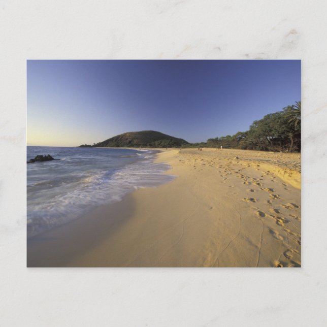 USA, Hawaii, Maui, Fußabdrücke in Sand, Makena Postkarte (Vorderseite)