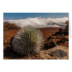 USA, Hawaii, Maui, Haleakala-Nationalpark