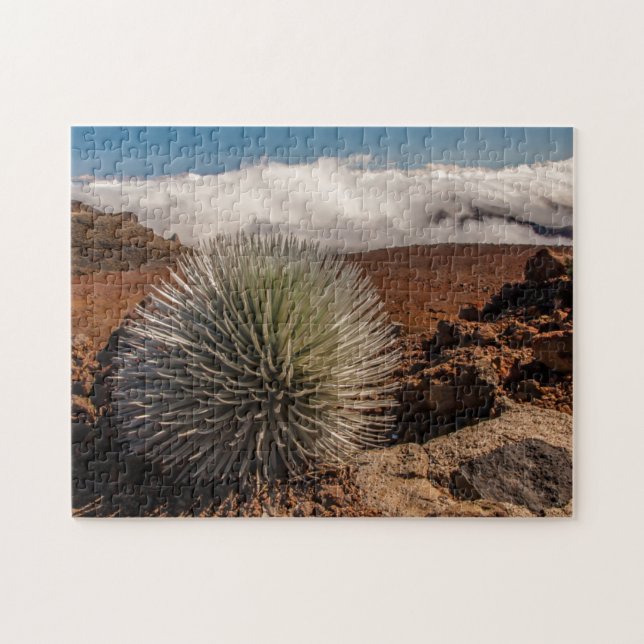 USA, Hawaii, Maui, Haleakala-Nationalpark (Horizontal)