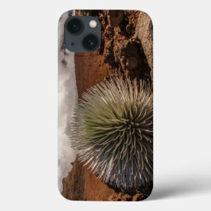 USA, Hawaii, Maui, Haleakala-Nationalpark Case-Mate iPhone Hülle