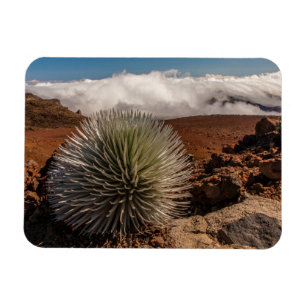 USA, Hawaii, Maui, Haleakala-Nationalpark Magnet