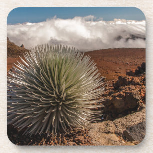 USA, Hawaii, Maui, Haleakala-Nationalpark Untersetzer