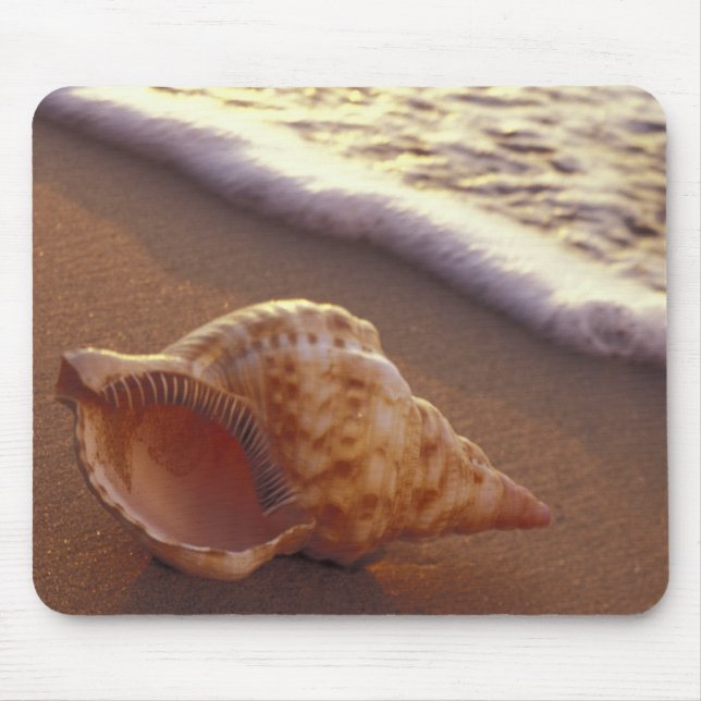 USA, Hawaii, Maui, Kihei, Abend light on Mousepad (Vorne)