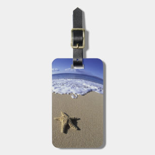 USA, Hawaii, Maui, Makena Beach, Seestern und Gepäckanhänger