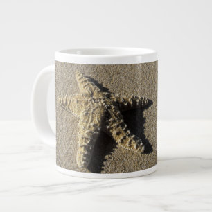 USA, Hawaii, Maui, Makena Beach, Seestern und Jumbo-Tasse