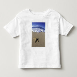 USA, Hawaii, Maui, Makena Beach, Seestern und Kleinkind T-shirt