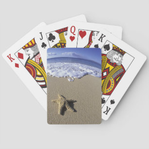 USA, Hawaii, Maui, Makena Beach, Seestern und Spielkarten