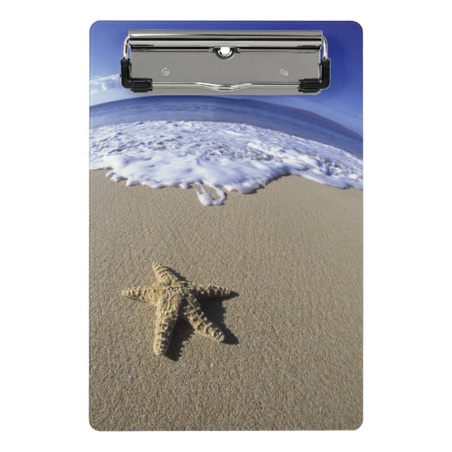 USA, Hawaii, Maui, Makena Beach, Starfish Mini Klemmbrett (Vorderseite)