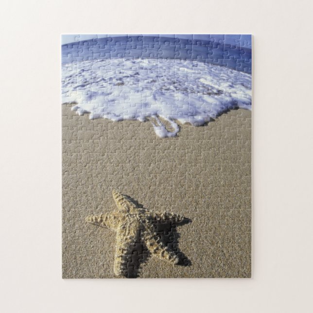 USA, Hawaii, Maui, Makena Beach, Starfish und (Vertikal)