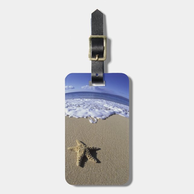 USA, Hawaii, Maui, Makena Beach, Starfish und Gepäckanhänger (Vorderseite vertikal)