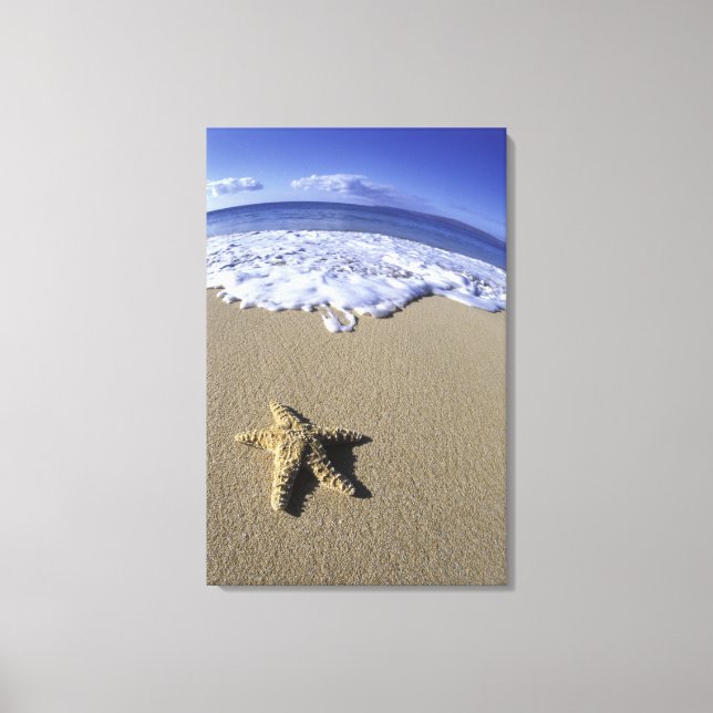 USA, Hawaii, Maui, Makena Beach, Starfish und Leinwanddruck (Vorderseite)