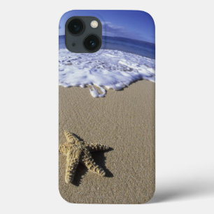 USA, Hawaii, Maui, Makena Strand, Starfish und iPhone 13 Hülle