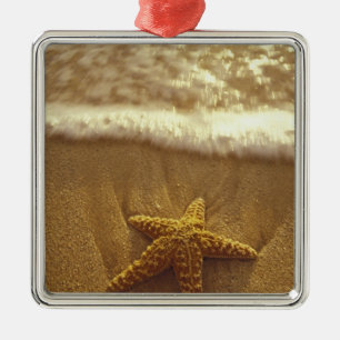 USA, Hawaii, Maui, Maui, Kihei, Seestern und Silbernes Ornament