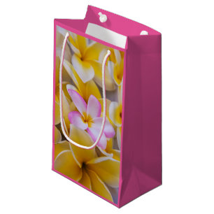 USA, Hawaii, Oahu, blühende Plumeria-Blumen 1 Kleine Geschenktüte
