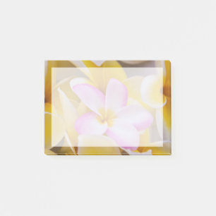 USA, Hawaii, Oahu, blühende Plumeria-Blumen 1 Post-it Klebezettel