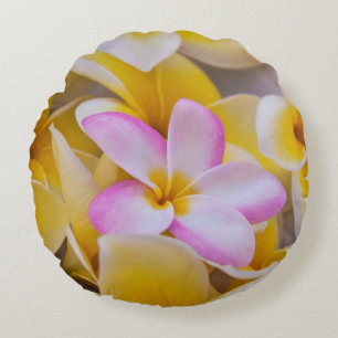 USA, Hawaii, Oahu, blühende Plumeria-Blumen 1 Rundes Kissen