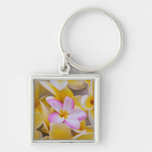 USA, Hawaii, Oahu, blühende Plumeria-Blumen 1 Schlüsselanhänger