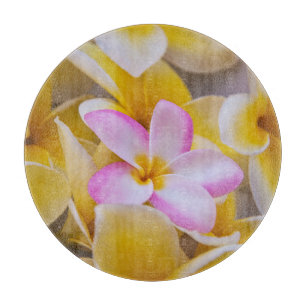 USA, Hawaii, Oahu, blühende Plumeria-Blumen 1 Schneidebrett