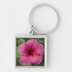 USA, Hawaii, Oahu. Der Hibiskus ist der 2 Schlüsselanhänger
