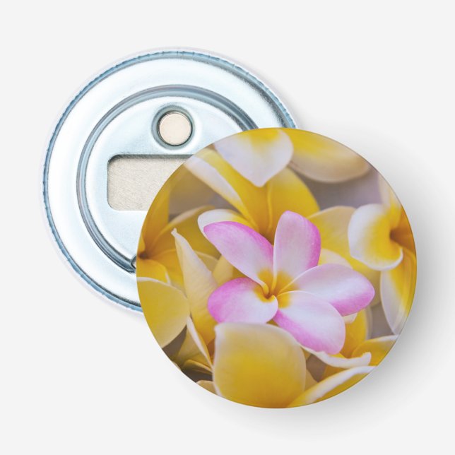 USA, Hawaii, Oahu, Plumeria Blume in Blüte 1 Flaschenöffner (Vorderseite)