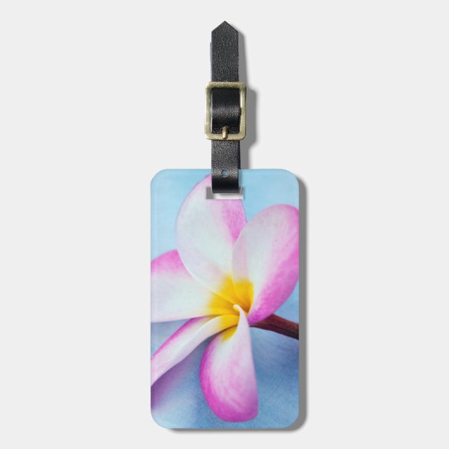 USA, Hawaii, Oahu, Plumeria Blume in Blüte 2 Gepäckanhänger (Vorderseite vertikal)