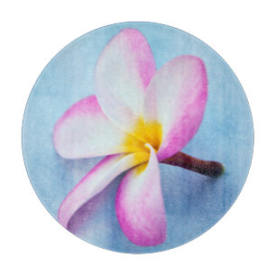 USA, Hawaii, Oahu, Plumeria Blume in Blüte 2 Schneidebrett