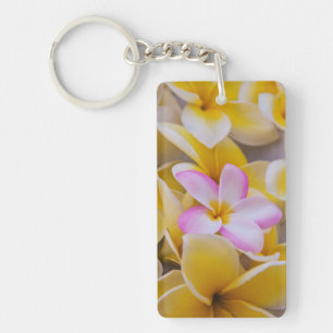 USA, Hawaii, Oahu, Plumerienblüten in Blüte 1 Schlüsselanhänger
