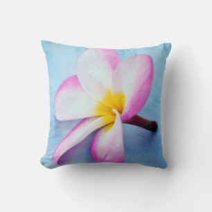 USA, Hawaii, Oahu, Plumerienblüten in Blüte 2 Kissen