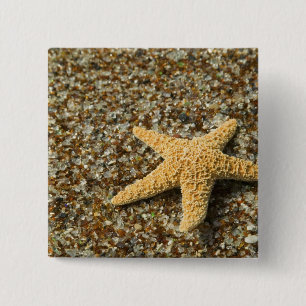 USA, HI, Kauai, Glass Beach mit Seestern Button