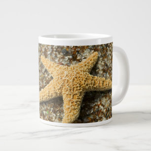 USA, HI, Kauai, Glass Beach mit Seestern Jumbo-Tasse