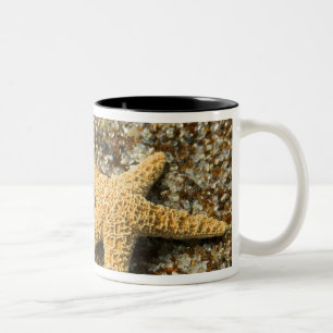 USA, HI, Kauai, Glass Beach mit Seestern Zweifarbige Tasse